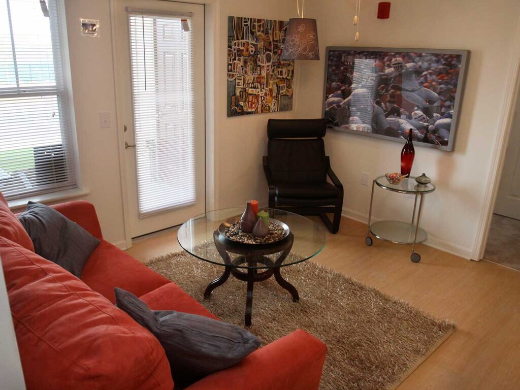 Overlook Terraces apartment interior living area
